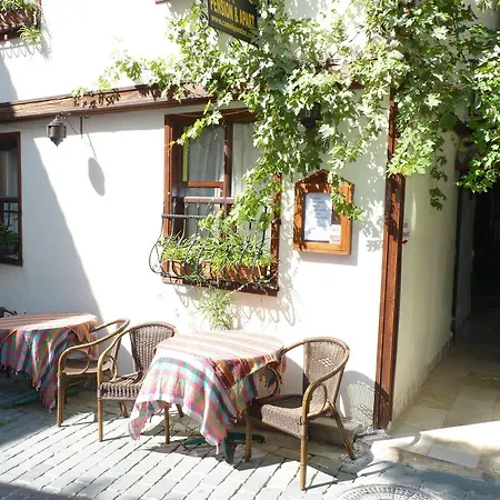 Otel Camel & 3*